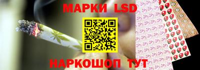 кокс Донской