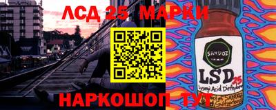 кокс Донской