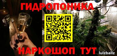 кокс Донской