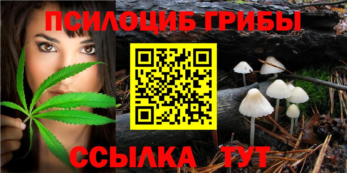 дарнет шоп  Галлюциногенные грибы мицелий  Вход с VPN  Надым 